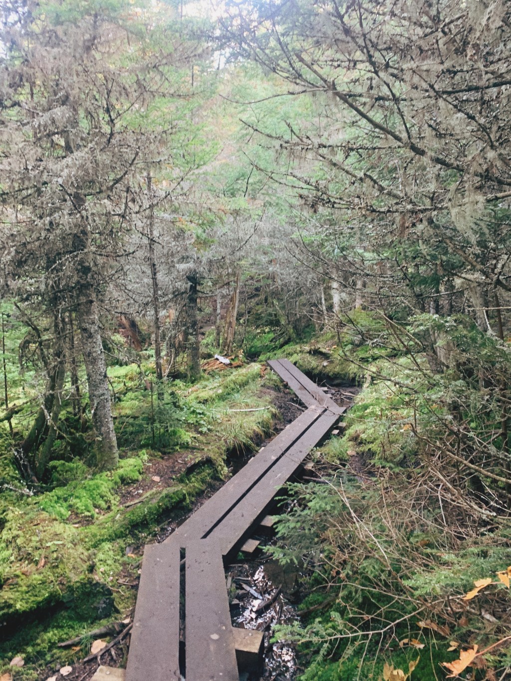 The Resistance of&nbsp;Hope